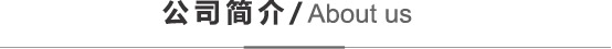 公司簡(jiǎn)介